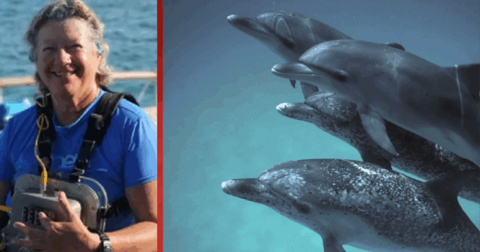 Illustration of Google's DolphinGemma AI model helping decode dolphin language for human understanding.